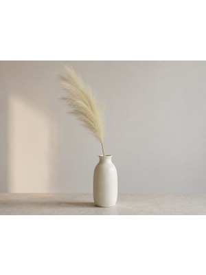 Elif Aksesuar Pampas Grass Ithal Pofuduk Dökülmeyen Cins Bej