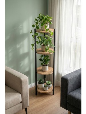 RetoDesign 4 Raflı Çam Yuvarlak Çiçelik Raf, Çok Amaçlı Raf 2400
