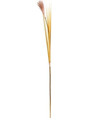 Paşabahçe Bulrush 119 cm Krem, Dekoratif, 1 Adet