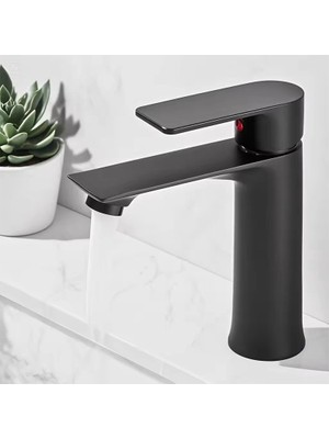 Fawer Faucet & Shower Siyah Lavabo Bataryası - 600 -By