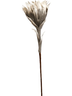 Paşabahçe Yıldız Çiçeği 90 cm Gri, Dekoratif, 1 Adet