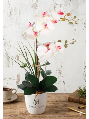 Sally Home Mika Saksıda 2li Yapay Islak Orkide Tanzimi Beyaz-Beyaz 65 cm