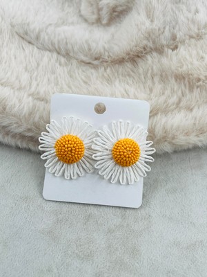 Bijüteri Küpe Minimal Şıklık Şık Hediye