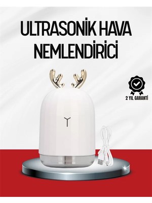 Esranın Dünyası El Tipi USB Mini Soğuk Mist Nemlendirici 220 ml Tank