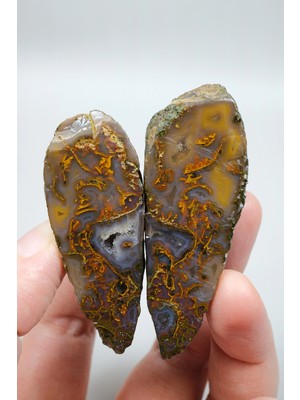 Healcrystal Tangerine Portakalı ve Karamel Kahverengi Dendritik Siyah Deniz Agat