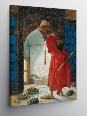 Shopwave Tablo Mega Kanvas Tablo Kaplumbağa Terbiyecisi, 50CM x 70CM