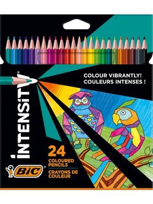 Shopwave Bic Color Up Üçgen Kuru Boya Kalemi, 24'lü Kutu