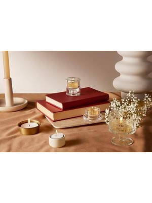 Bolsius Kokulu Tealight Mum, Mango Kokulu, Karışık Renkli, 18'li Paket, 3,5 Saatlik Yanma Süresi - Ev Mumu - Iç Dekorasyon - Doğal Özler - Doğal Vegan Balmumu Içerir - Palmiye Yağı Içermez