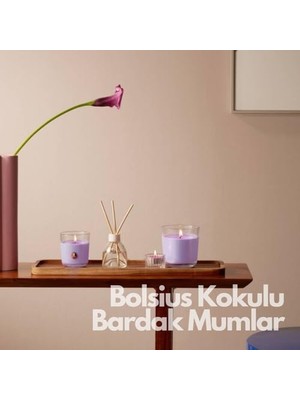 Büyük Pazar Store Bolsius Nar Kokulu Bardakta Mum - Vegan & Doğal & Saf Koku Özlü -Palmiye Yağı Içermez - 25 Saat Yanma Süresi - Kırmızı Renkte - 80MM/73MM