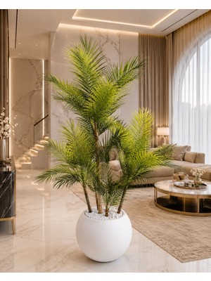Altun Çiçekcilik Areka 4 Gövdeli Ağaç 150 Cm Lux Metal Saksı Dahıldır - Renk: Yeşil
