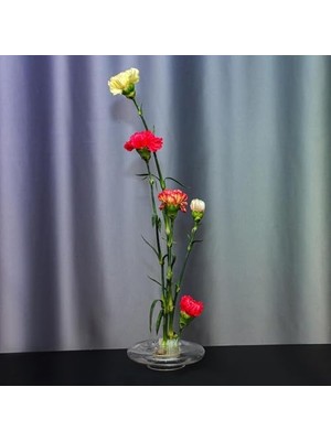 Flora Design-Balance Series Şeffaf Cam Vazo