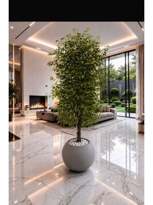 Altun Çiçekcilik Benjamin 150 Cm Ağaç Lux Metal Saksı Dahildir - Renk: Yeşil