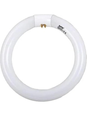 Şavk 22W Simit Floresan G10Q 22W/865