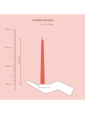Bolsius Düz Sivri Mum – Sarı – 4 Adet Kartonda – Dekoratif Ev Mumu – Yanma Süresi 7 Saat – Parfümsüz – Doğal Bitkisel Bal Mumu Içerir – Palmiye Yağı Içermez – 24,5 cm