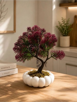 Lineva Beyaz Bubble Saksıda Yapay Bordo Kasımpatı Bonsai – Dekoratif Yapay Çiçek