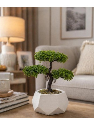 Lineva Geometrik Beton Saksıda Yapay Bonsai Ağacı Dekoratif Masa Üstü Bitki