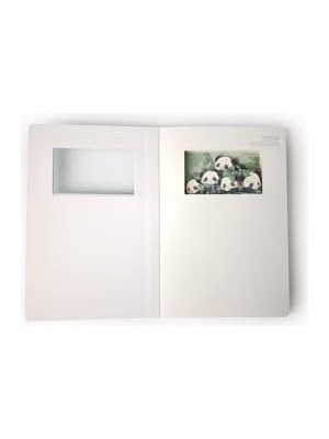 3D Hi Panda Temalı Defter