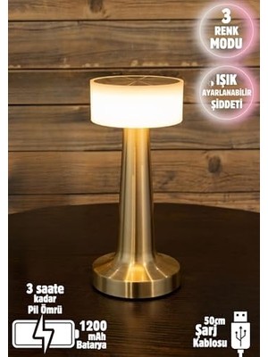 Dekoratif Şarjlı Dokunmatik LED Masa Lambası USB Kablolu Abajur ve Gece Lambası Altın