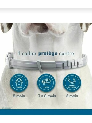 Köpekler Için Pire Kene Tasması 63 cm – 8 Aya Kadar Koruma Sağlayan Ayarlanabilir Parazit Önleyici Boyun Tasması