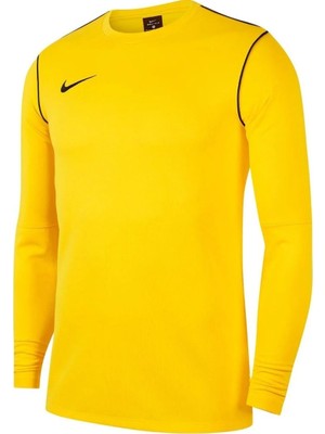 Nike Park 20 Crew Top Erkek Sarı Futbol Uzun Kollu Tişört BV6875-719