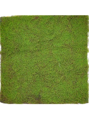Herdekora Yapay Yosun Duvar Dekoru Tabaka Açık Yeşil 100X100  cm .