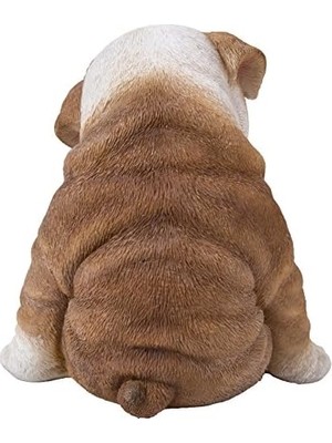 Yake Store Oturan Uykulu Bulldog Yavru Köpek