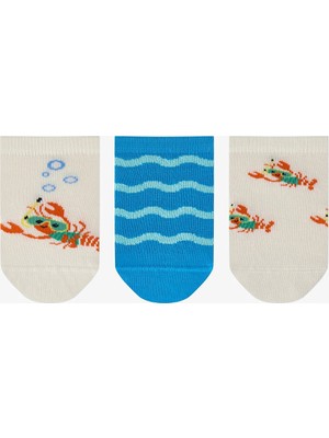 Penti Erkek Çocuk Snorkel Lobster 3'lü Patik Çorap