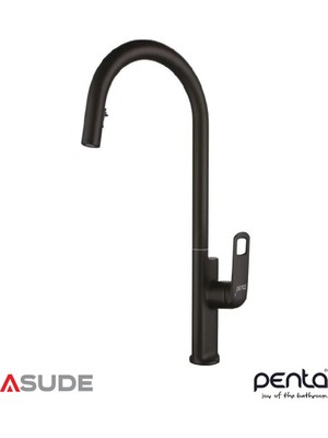 Penta Banyo Penta 1321B Black Spiralli Evye Bataryası