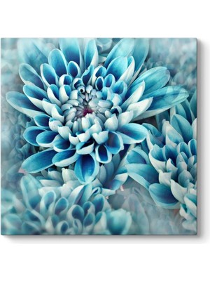 Çiçek Yaprakları Tablosu 60 x 60