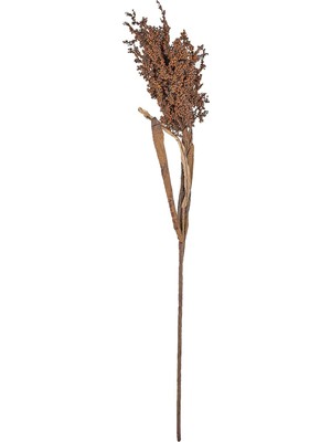 Kvist Pampus Çim Koyu Dekor 86 cm Doğal