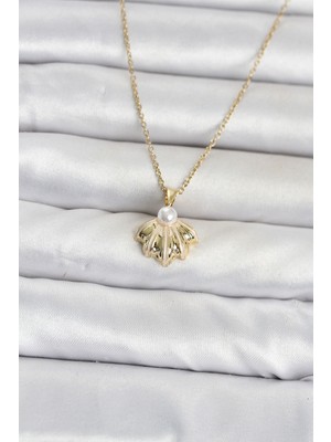 Evimdeyokyok 316L Çelik Zincir Gold Renk Deniz Kabuğu Model Kadın Kolye TJ-BKO11086