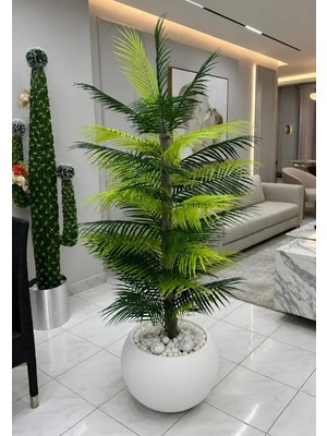 Altun Çiçekcilik Yapay Areka Ağacı 160 cm Beyaz Lux Saksı Dahıl