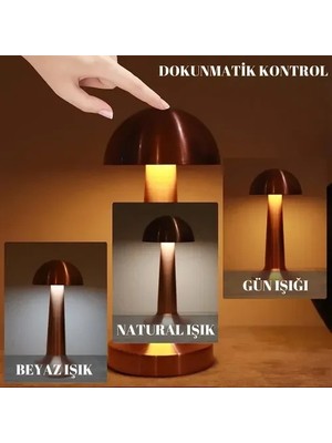 Dinç Store 44 Dekoratif LED Masa Lambası 3 Renk Modlu