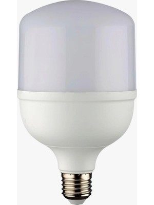 Torc LED Ampul 30W