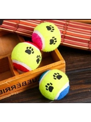 Bella Vista Eğlenceli Köpek Eğitim Topu - 6,5 cm