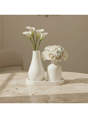Canseb Elegance 3lü Modern Vazo ve Pampas Vazosu Seti Premium Set