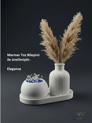 Canseb Elegance Üçlü Dekoratif Sukulent Saksı & Çizgili Pampas Vazosu Seti