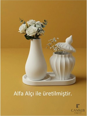Canseb Elegance 13CM Çiçek Vazosu & 8cm Tombul Vazo Saksılık & 17CM Bölmeli Oluklu Tepsi
