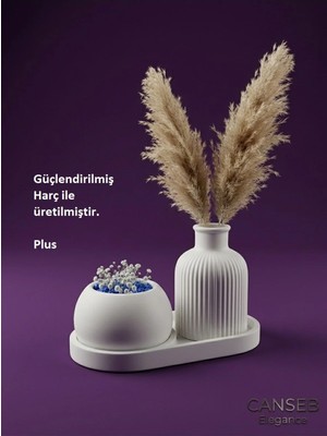 Canseb Elegance Üçlü Dekoratif Sukulent Saksı & Çizgili Pampas Vazosu Seti
