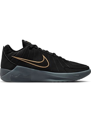 Nike Nıke Lebron Wıtness Ix Unisex Basketbol Ayakkabısı HQ8034-003 Siyah