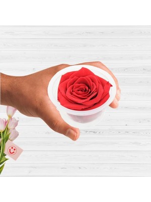 Süsle Bebek ve Parti Şoklanmış Solmayan Gül, 5 cm - Kırmızı