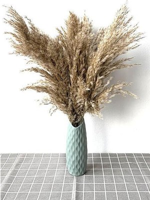 Gerçek Kuru Çiçek 7'li Büyük Boy 100 cm Pampas