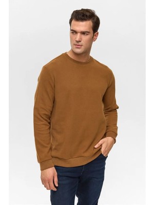 Süvari Koyu Kahve Regular Düz Bisiklet Yaka Sweatshirt