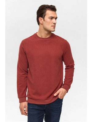 Süvari Açık Kahve Regular Düz Bisiklet Yaka Sweatshirt