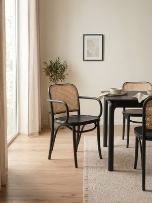 Gazzini Furniture Lema Kolçaklı Iskandinav Ahşap Sandalye