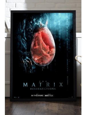 Duvarda Matrix Siyah Ahşap Çerçeveli Poster, Film Duvar Tablosu