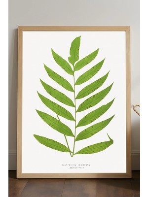 Duvarda Leaf Ahşap Çerçeveli Poster, Dekoratif Sanatsal Duvar Tablosu