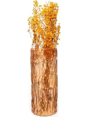 Zg Store Amber Cam Kabuk Vazo