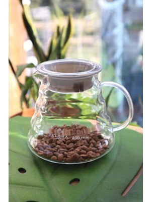 Empressco Şık Cam Kahve Demliği 600ML, Pratik ve Dayanıklı Tasarım