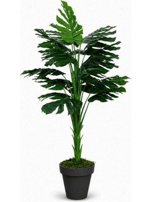 Dekorsende Yapay Monstera (Deve Tabanı) Ağaç Yeşil 160 cm